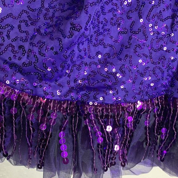 Wiessman Grape Purple Sequined Dance Costume - Picture 9 of 13